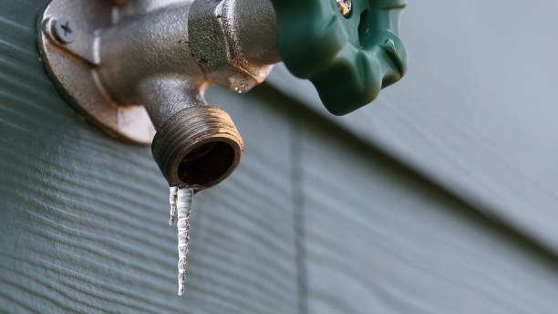 Best Shower Repair Services  in , NH